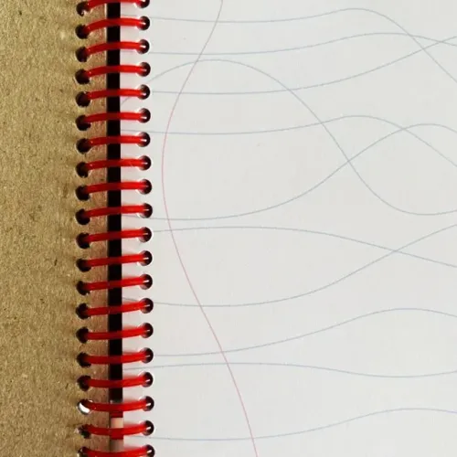Caderno Fio Da Pauta, Evolutiva Estudio