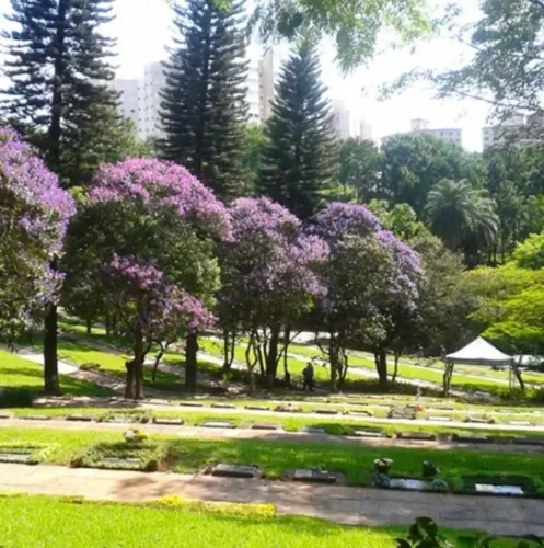 Vendo jazigo 5 gav no Gethsemani ao lado da portaria, área nobre. 25 mil