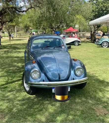 Volkswagen Fusca (álcool) 1986