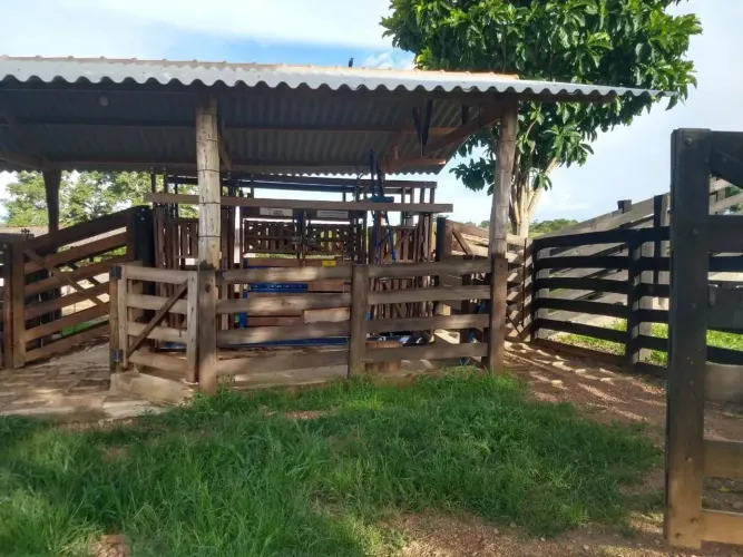 Fazenda a venda em Ipameri - Goiás!!!