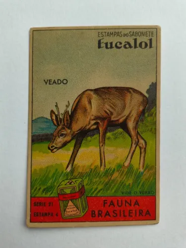 Antiguidade - Estampa do sabonete Eucalol - Fauna brasileira - Veado