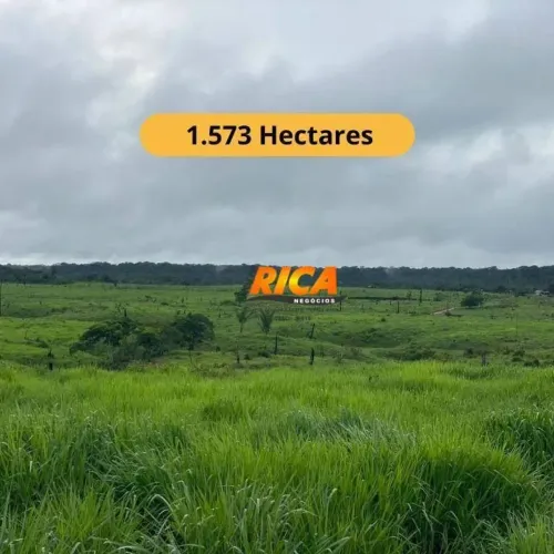 Linda Fazenda à Venda com 1.573 Hectares no Distrito de Realidade Humaitá- AM.