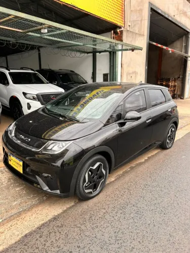 Byd dolphin GS 2023/24 único dono