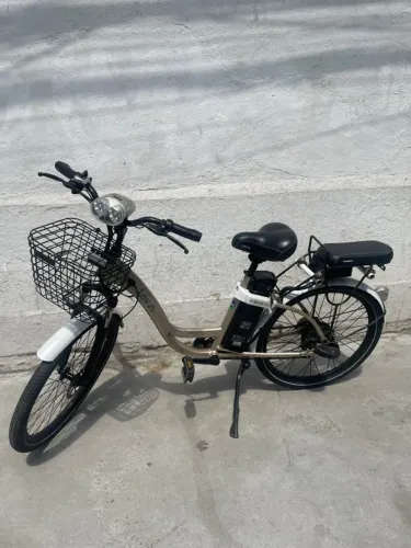 LEV ARO 26