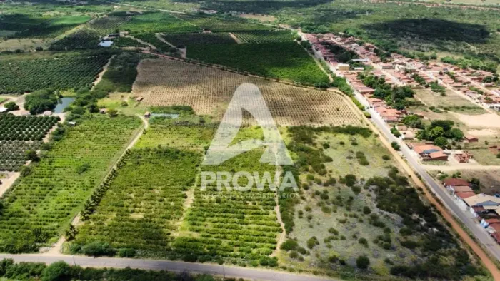 Fazenda Produtiva de 12,5 Hectares a venda localização Estratégica e Produção Orgânica.