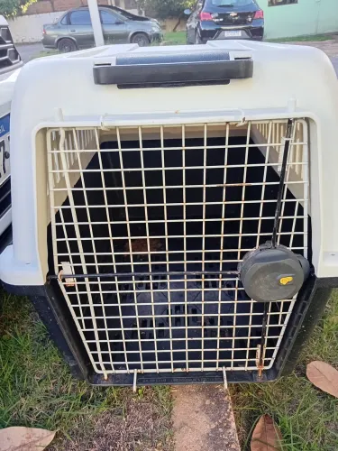 Vendo casa para transporte de pet tamanho grande