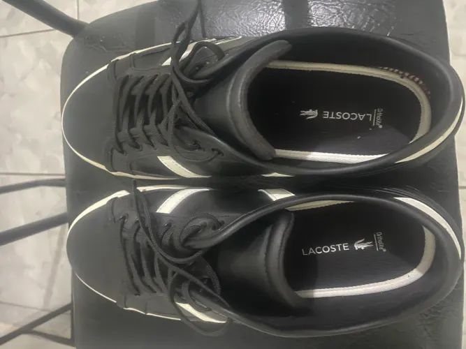 Tenis lacoste casual