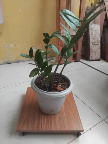 Suporte para vasos de plantas