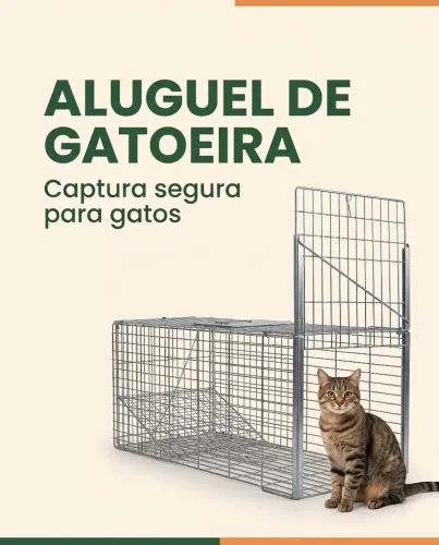 Alugo gatoeira por dia não machuca captura 