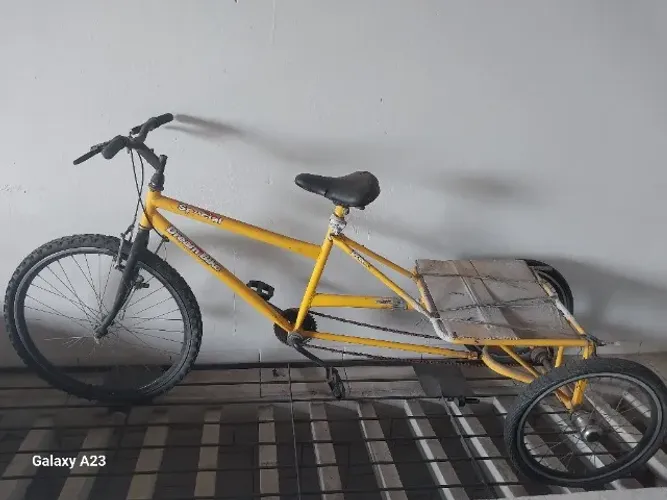 Bicicleta 3 rodas adulto