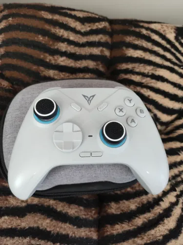 Flydigi Direwolf wireless novo