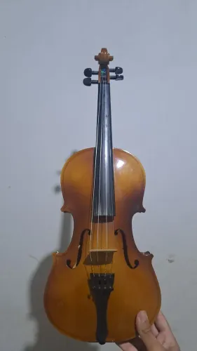 Violino 