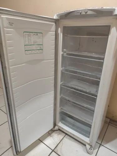 Freezer horizontal