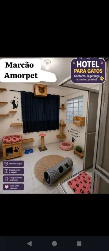 Hotel para gatos pet