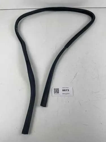 Borracha Vidro Dianteira Esquerda Vw Voyage Gol G5  2010