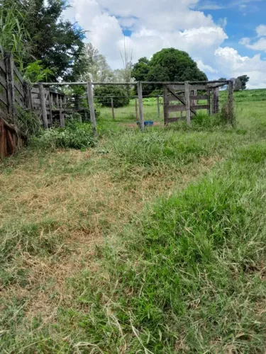 Chácara Palmeira D'Oeste
