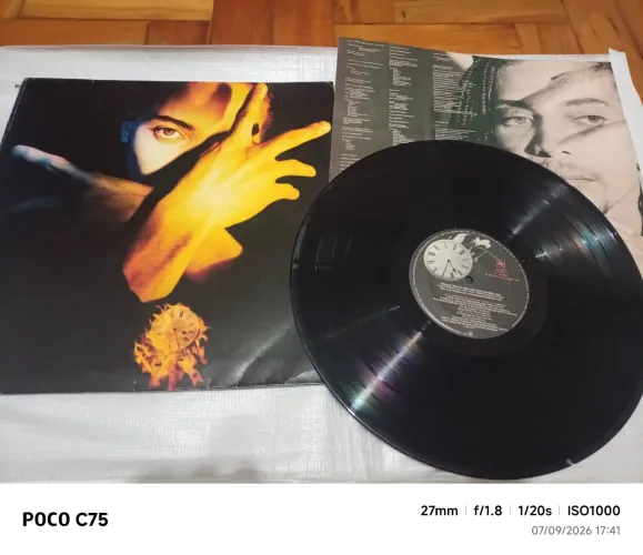 Terence Trent D'Arby - Neither Fish Nor Flesh - LP Vinil