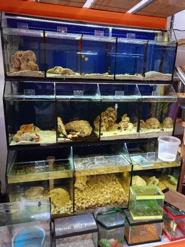 Bateria de Aquário completa por 5 mil