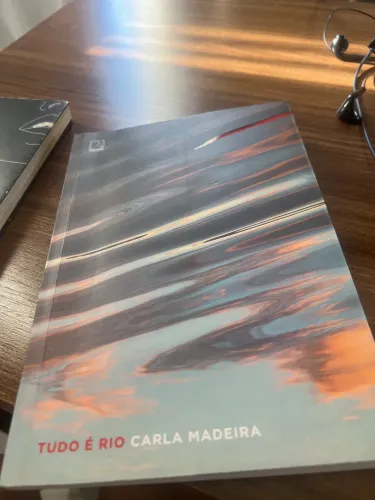 Livro tudo é rio