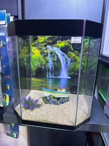 Aquário sextavado novo decorado completo com filtragem