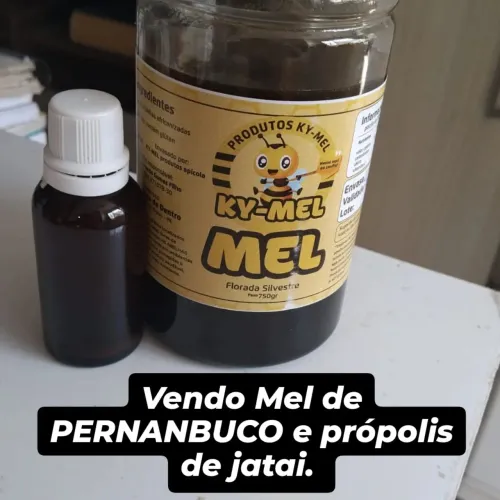 Mel puro