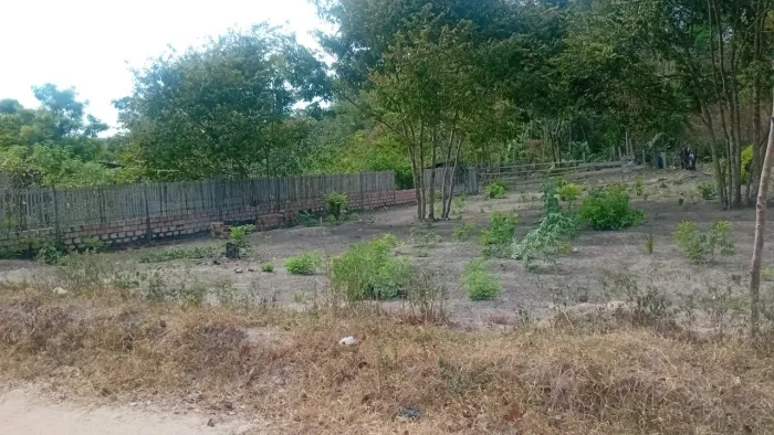 Terreno 15x30 no Ramal de Coelho - R$ 25 mil