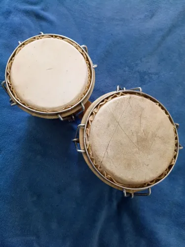 Bongo instrumento de percussão 
