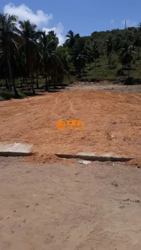 Oportunidade Incrível no Paraíso de Alagoas