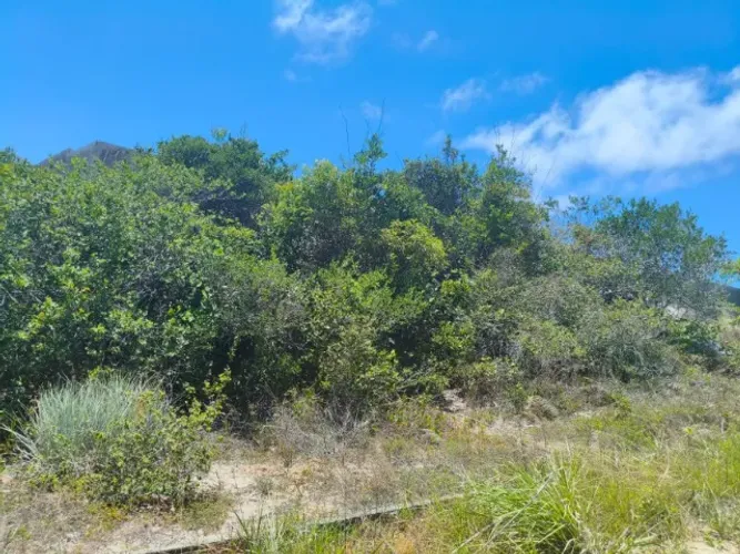 Vendo terreno plano em Jauá