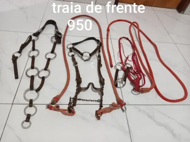 Traia para cavalo 