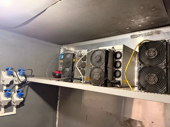 Rig asic 
