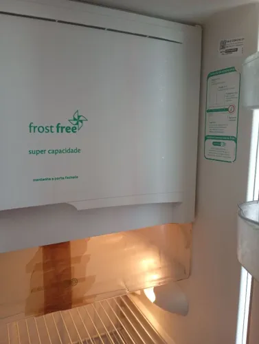 Frost Free consul295litrs