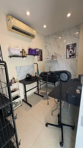 Repasso materiais completo para Pet Shop