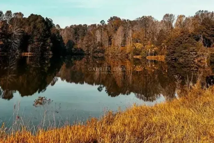Terreno à Venda no Terra Caxambu 1.000m² | Amplo Lote em Meio à Natureza | Alto Potencial