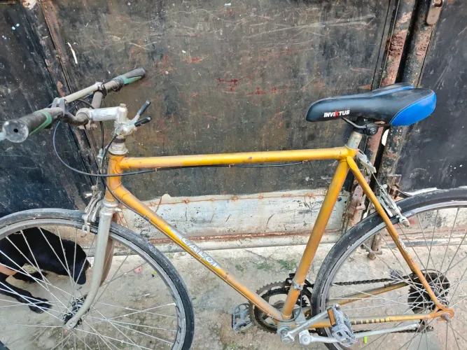 Bicicleta Caloi 10 ano 1980.