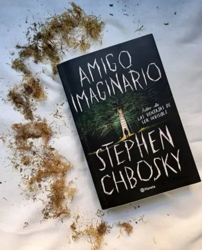 AMIGO IMAGINÁRIO-LIVRO NUNCA LIDO