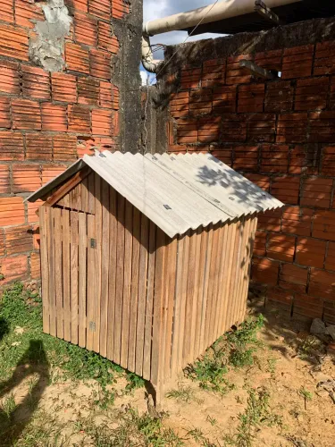 Casa de madeira para cachorro 