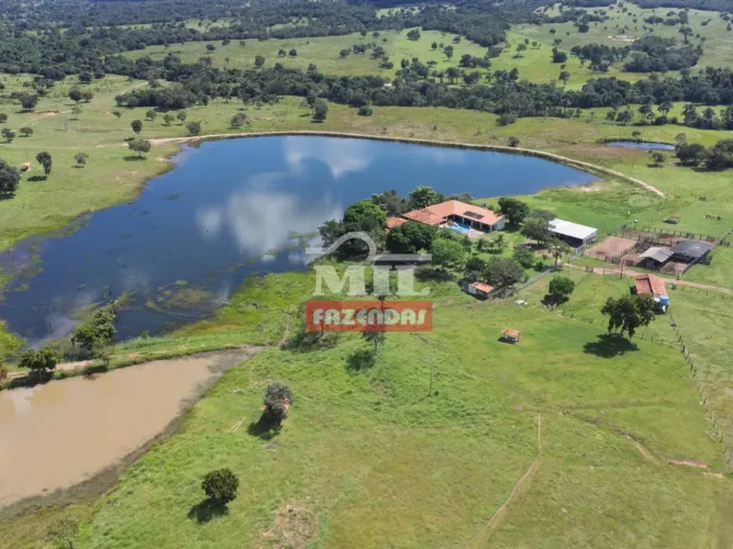 Fazenda 100 Alqueires (484 Hectares) Araguapaz - GO