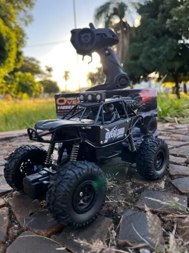Carrinho de controle remoto off road