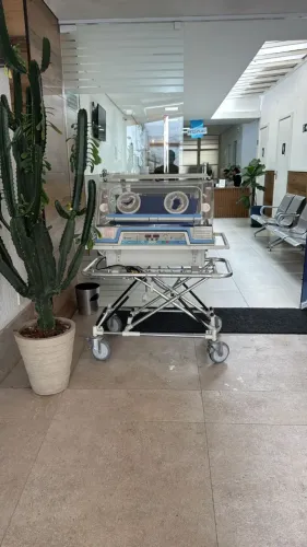 emcubadora de transporte
