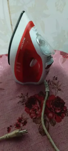 Ferro de passa mundial