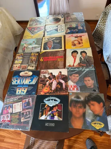 Discos de vinil sertanejos