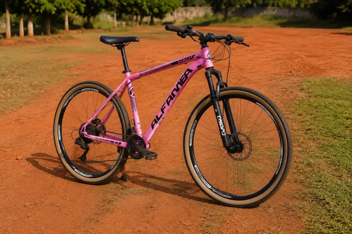 Bicicleta Mountain Bike