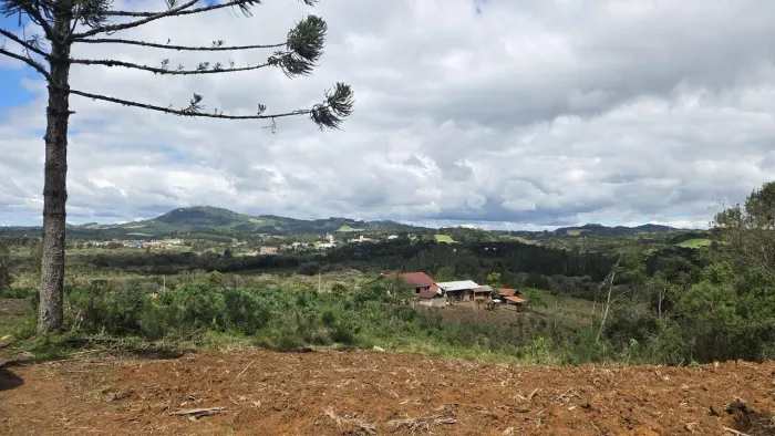 Terreno Rural de 56.448 m² a 2 km do Centro de Bateias de Baixo, Campo Alegre/SC