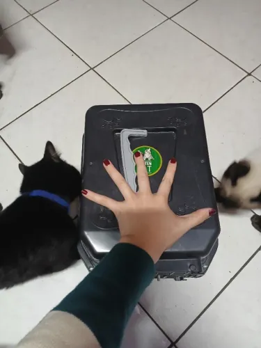 Caixinha de transporte pequena