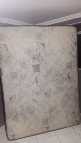 Cama