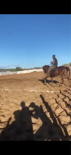 Égua de canhota pronta pra testar 