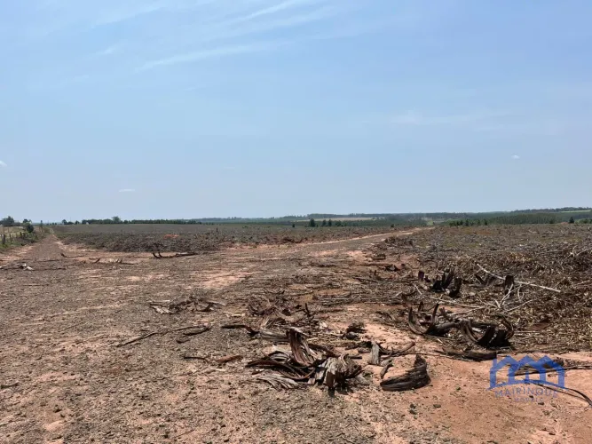 Sítio/Fazenda à Venda, 70 alqueires por R$ 14.000.000 Cód. ch1866