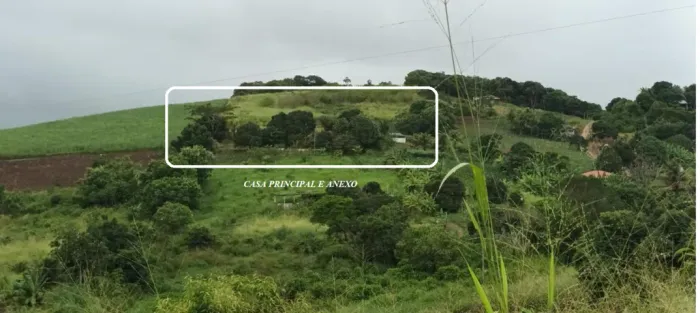 SITIO BOA SORTE, LOCALIZADO EM VITÓRIA DE SANTO ANTÃO, 6 HA, TRATAR COM O DONO