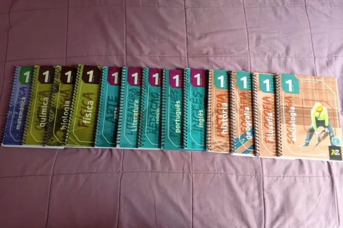 LIVROS DIDÁTICOS 1º ANO